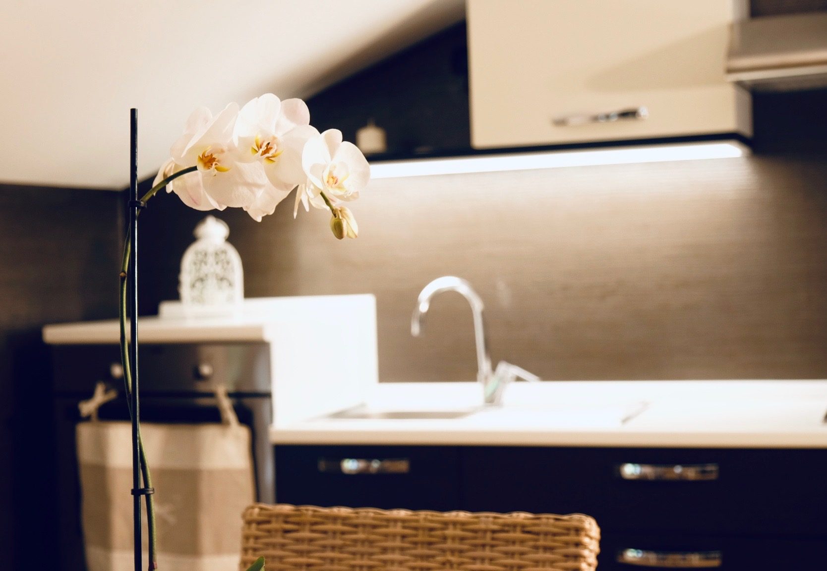 Attic Home — Living 4