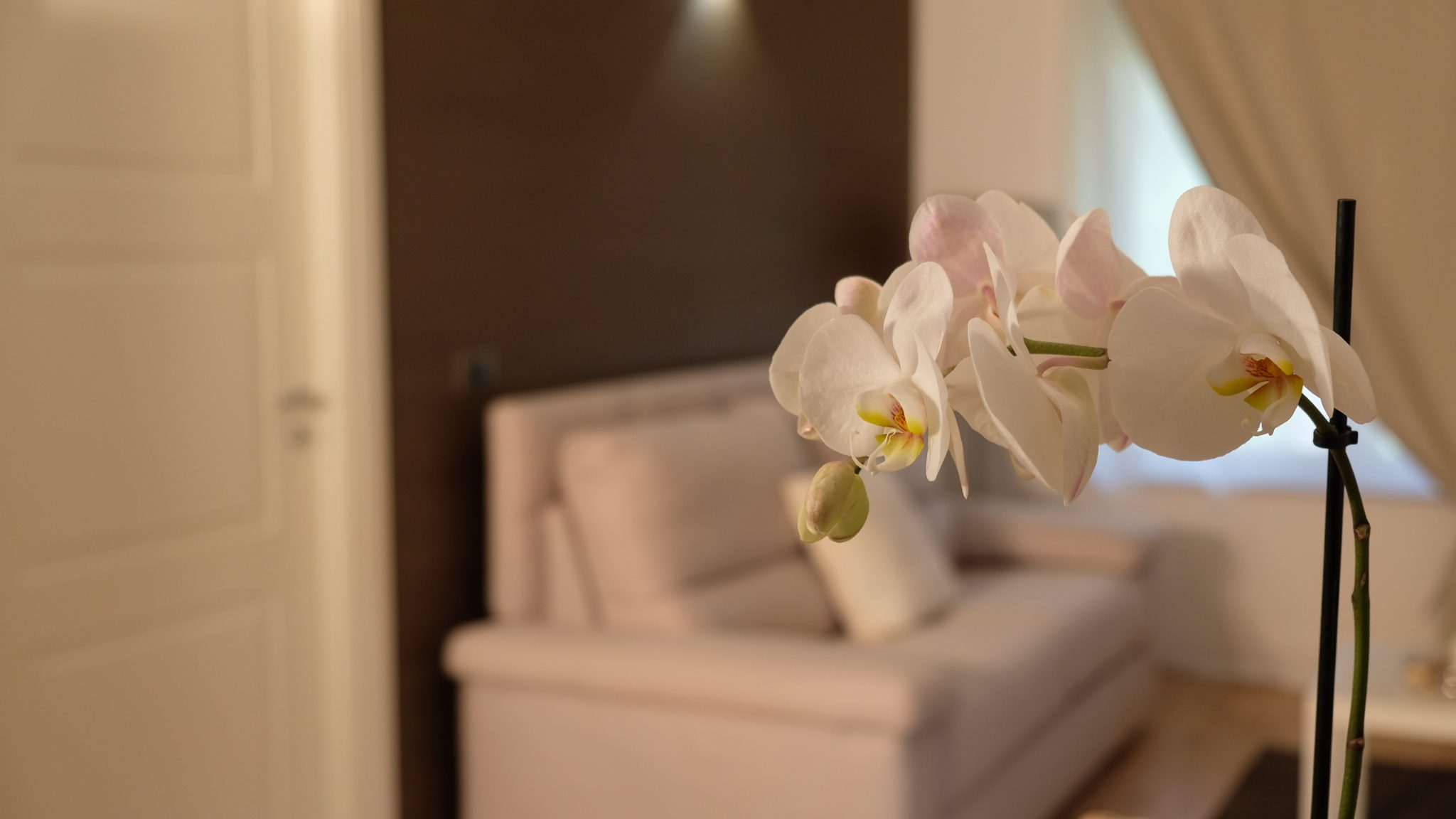 Attic Home — Living 6