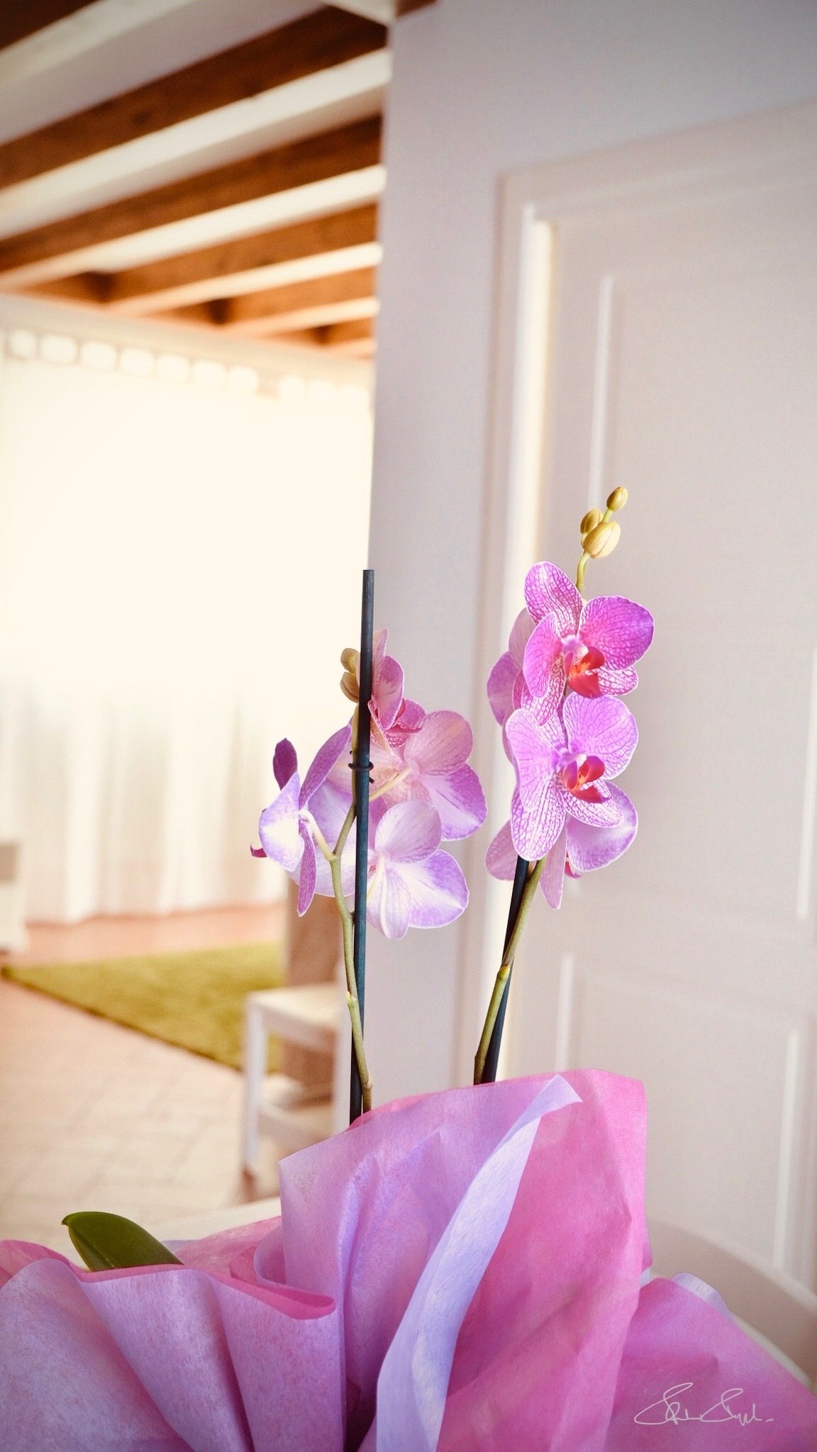 Country Chic — Living 12